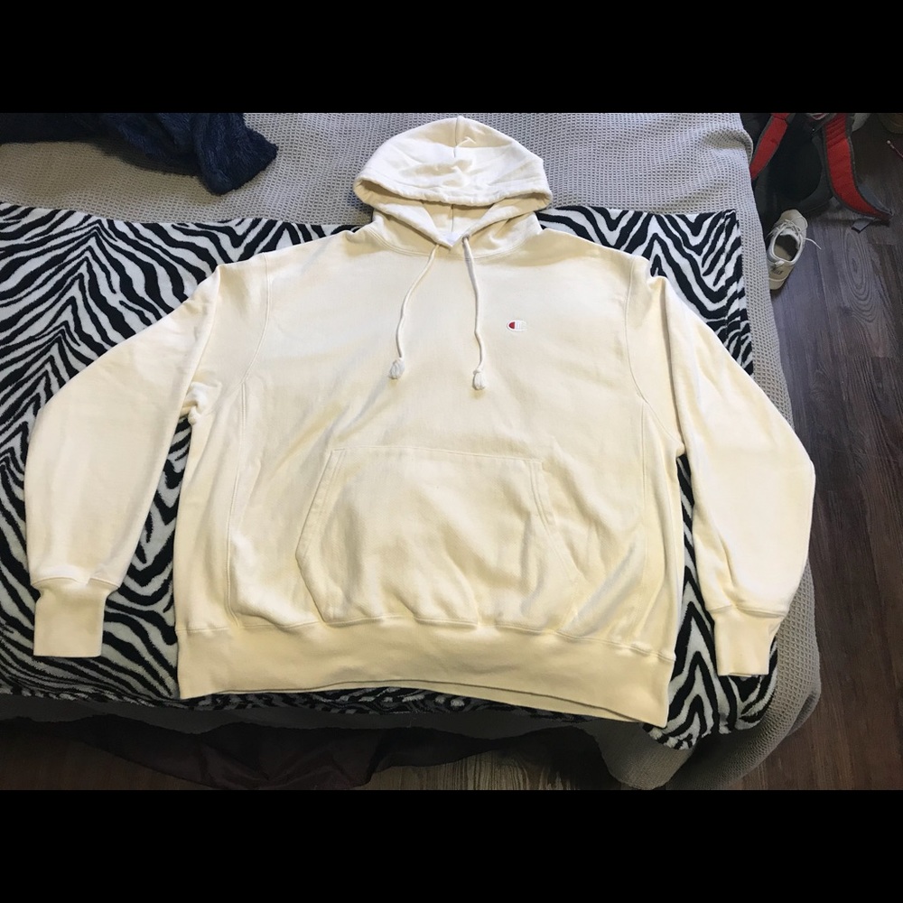 Champion & Urban Outfitters Sweatshirt